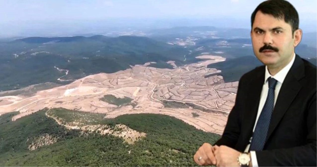 Bakan Kurum: Kaz Dağları\'nda 13 bin ağaç kesildi