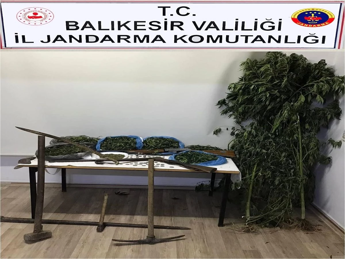 Balıkesir\'de uyuşturucu operasyonları