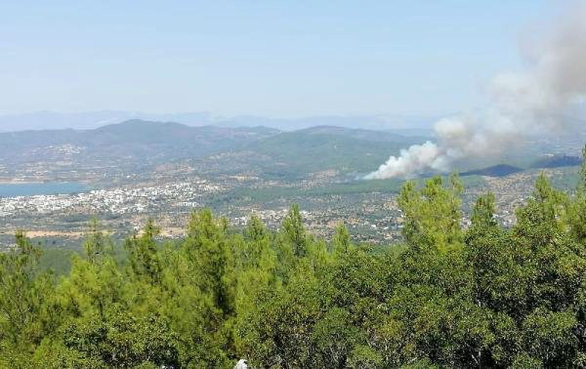 Bodrum\'da ormanlık alanda yangın (1)