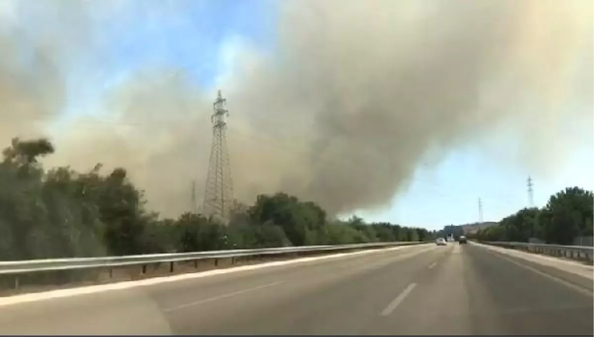 Çeşme\'de 15 hektar makilik alan yandı