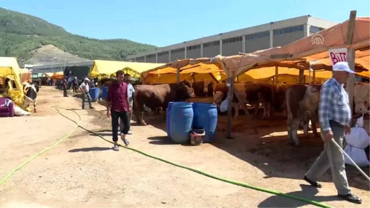 "Derin dondurucuları değil gönülleri dolduralım" - İZMİR