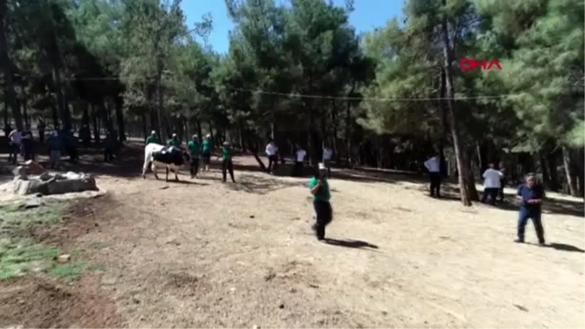 Gaziantep\'te kurban yakalama timi drone da kullanacak