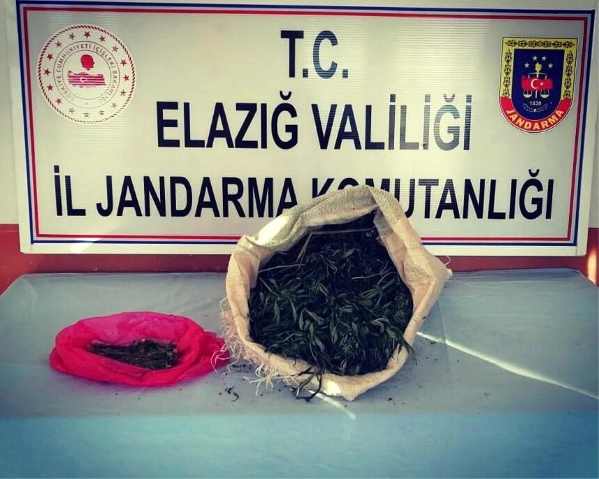 Jandarma ekipleri, uyuşturucu tacirini 2 kilo esrarla yakaladı