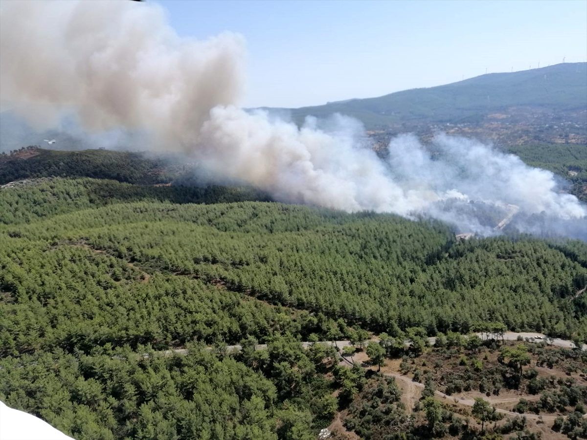 Muğla\'da orman yangını