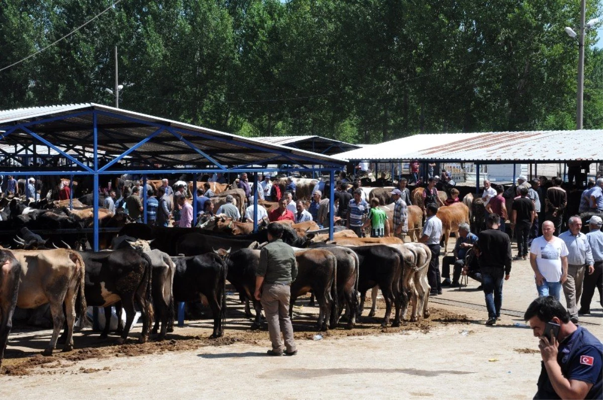 Simav\'da kurban pazarı açıldı
