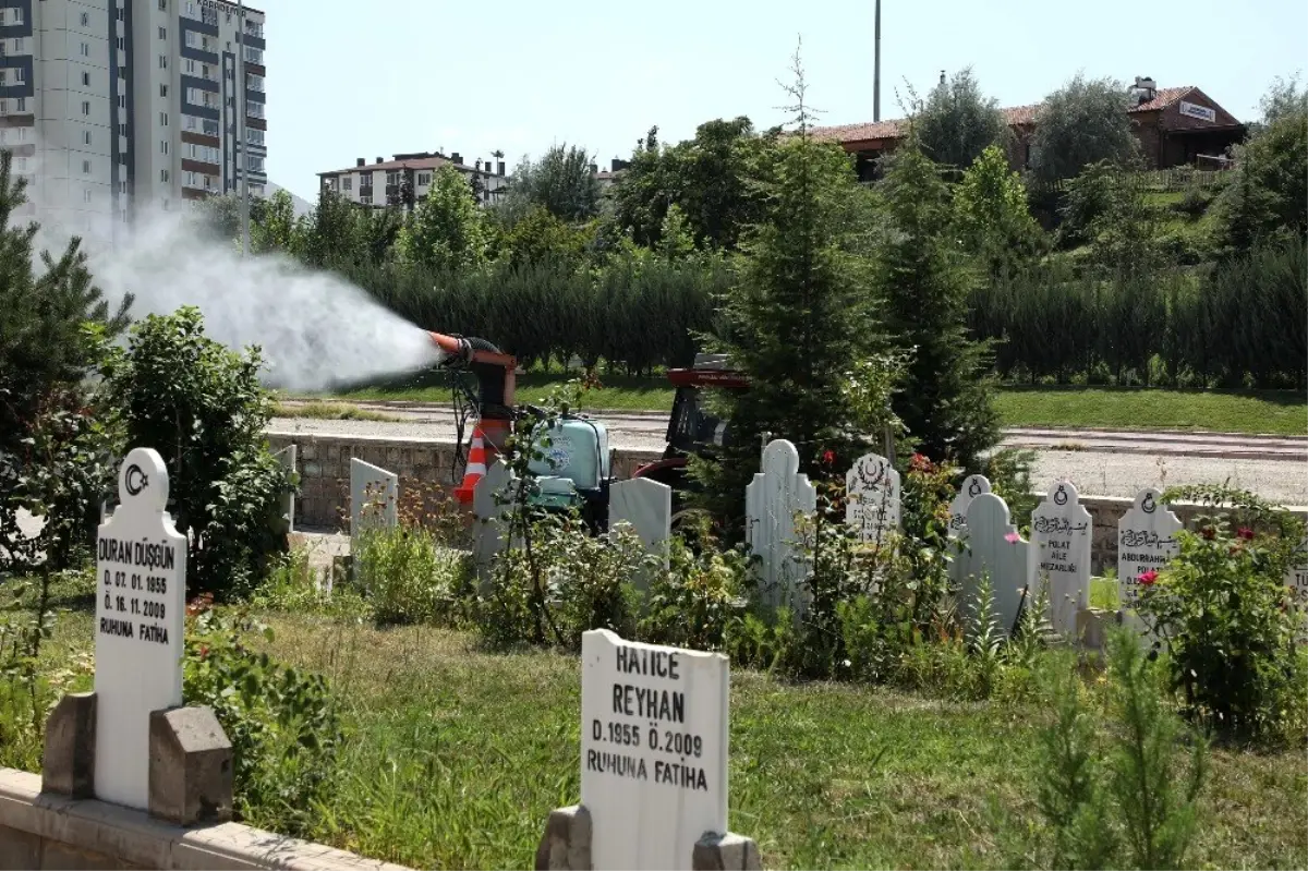 Talas Kurban Bayramına Hazır