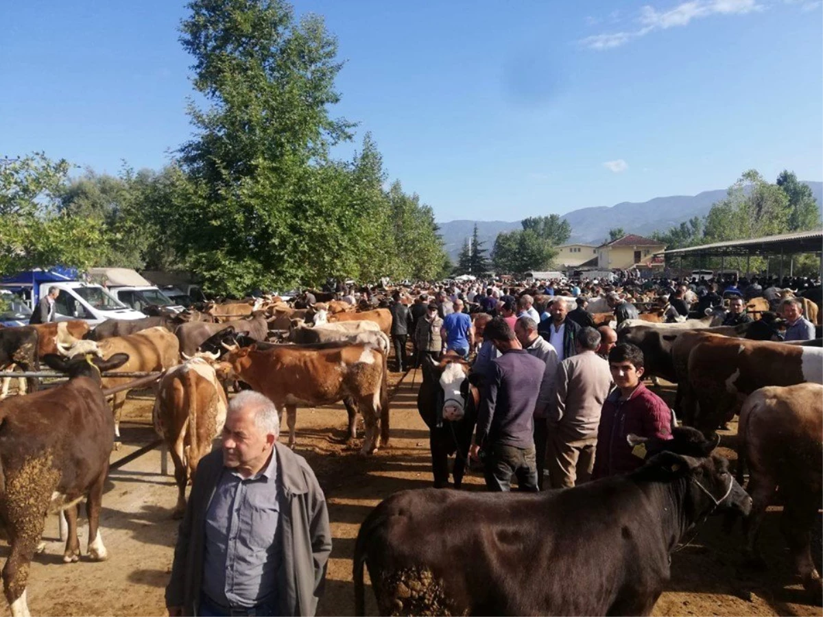 Tokat\'ta kurbanlık satıcılarına sahte para uyarısı