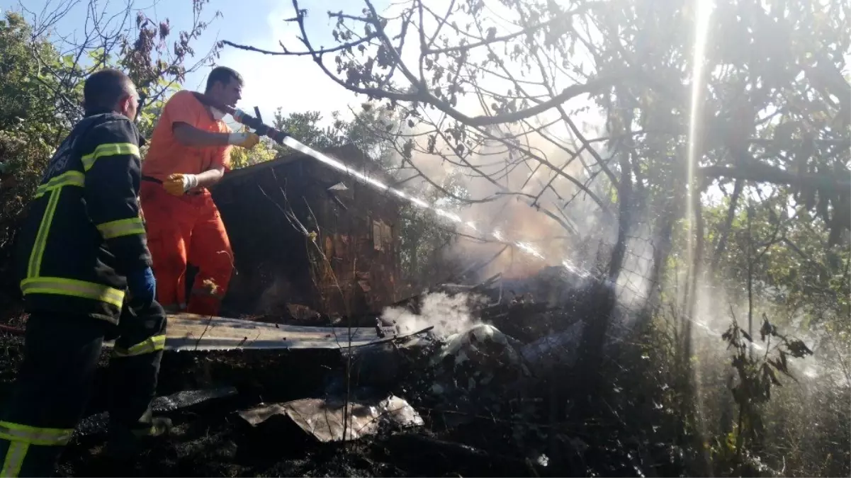 Yabani otları yakmak isterken 5 dönüm alanı küle döndürdü