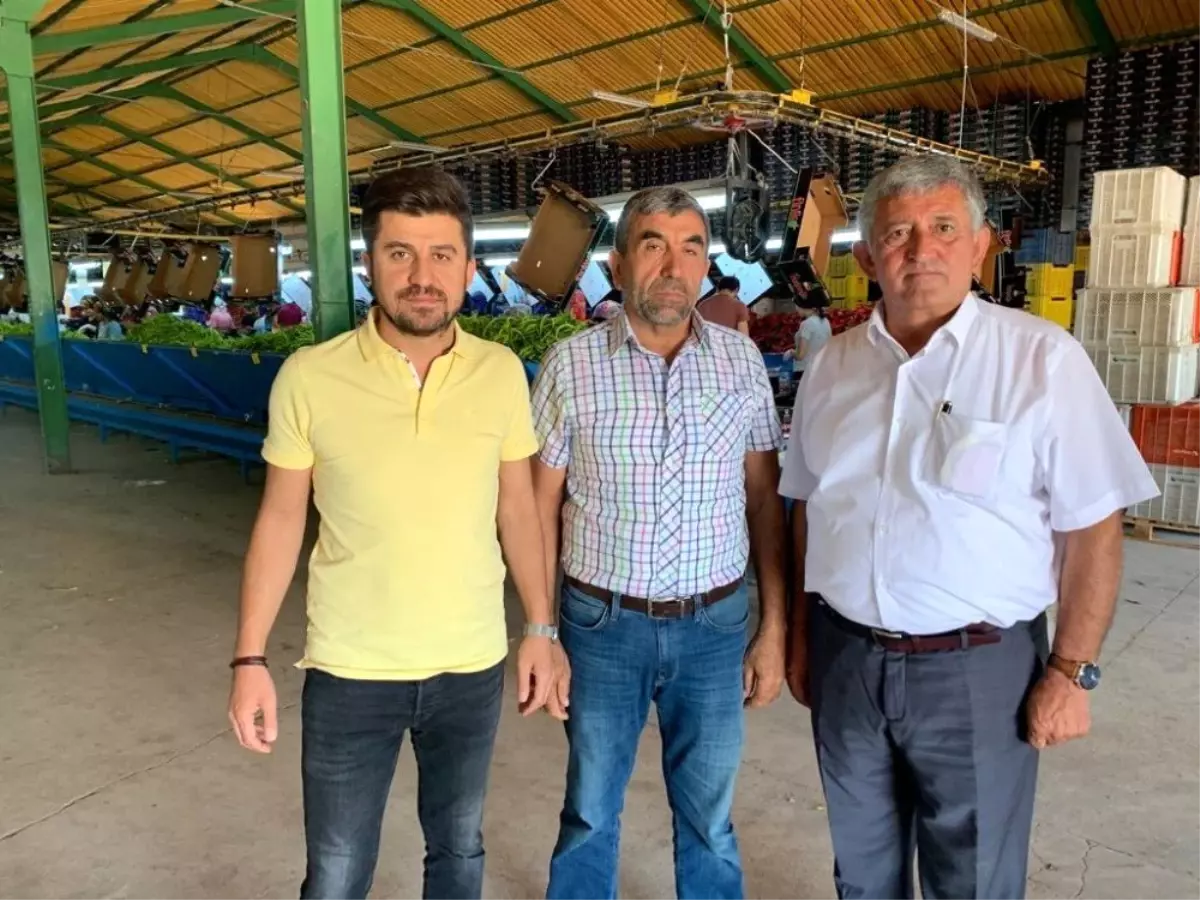 Yenişehir\'den Avrupa\'ya yılda 800 TIR biber ihraç ediliyor