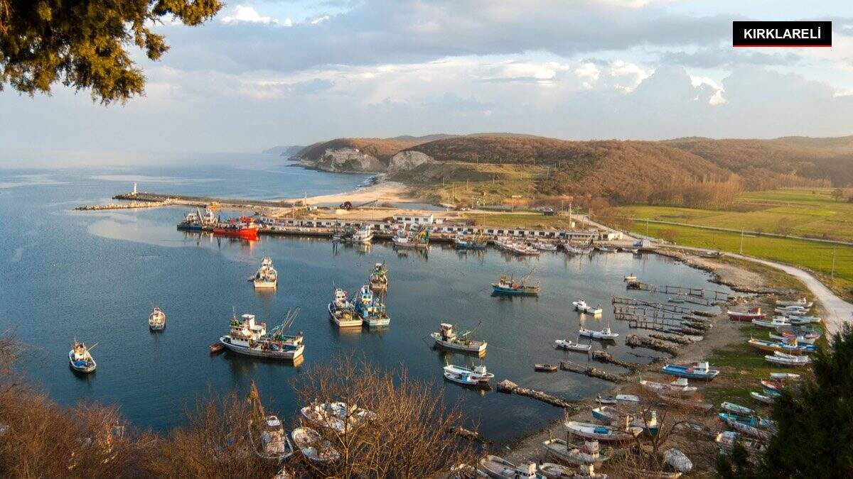 Yerli mısır çeşitleri toprakla buluştu