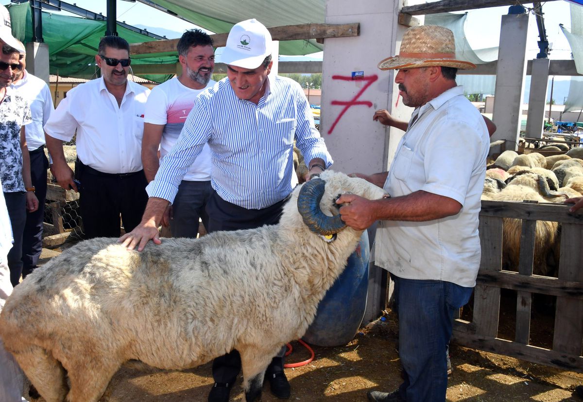 Başkan Dündar, kurban pazarını gezdi