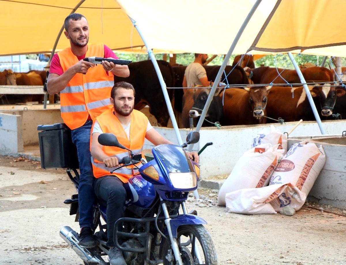 "Boğa Yakalama Timi" kurbana hazır