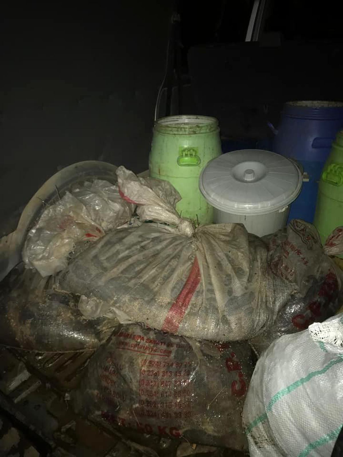 Didim\'de 500 kilo deniz patlıcanı ele geçirildi