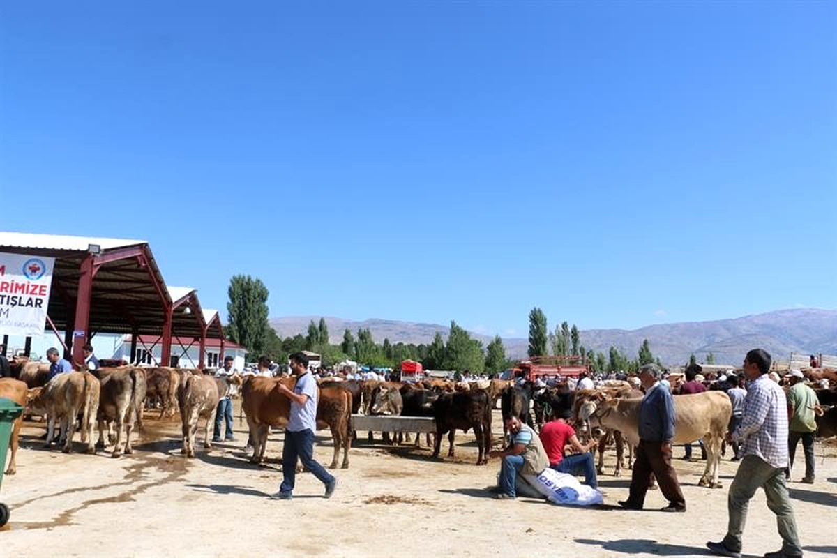 Erzincan\'da kurbanlık hayvan satış yerleri denetlendi