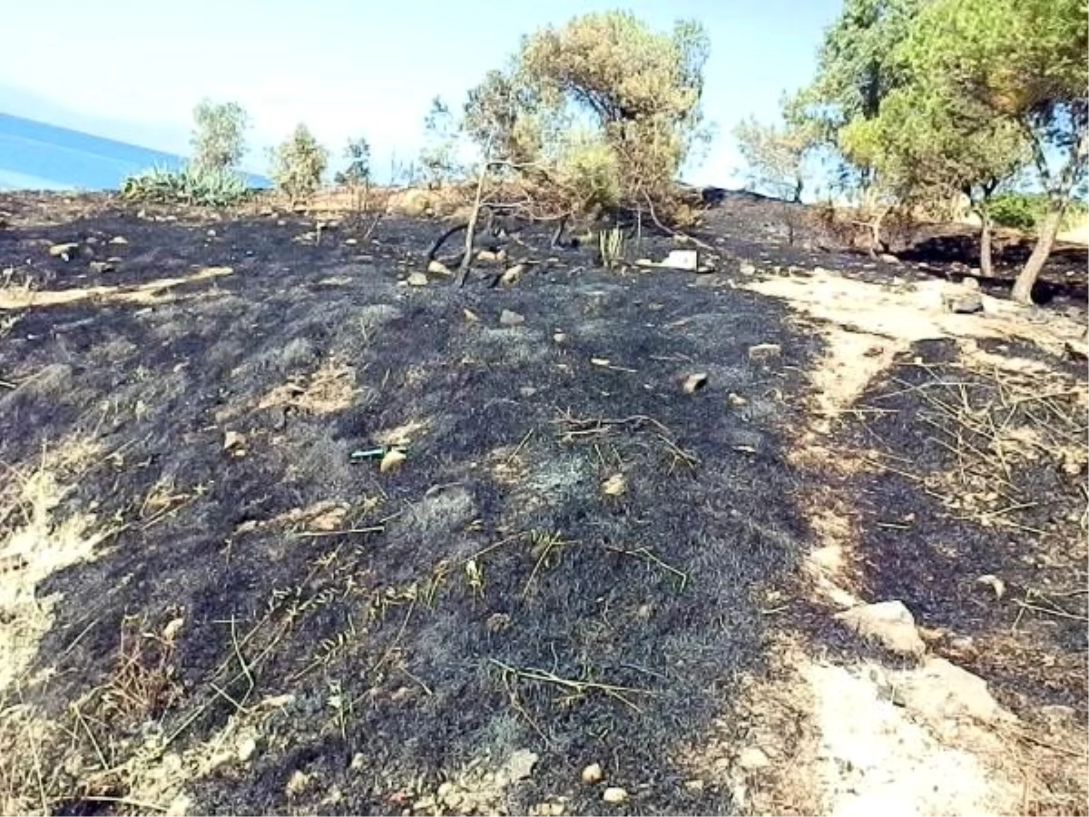 Foça\'da 1 hektar makilik alan yandı