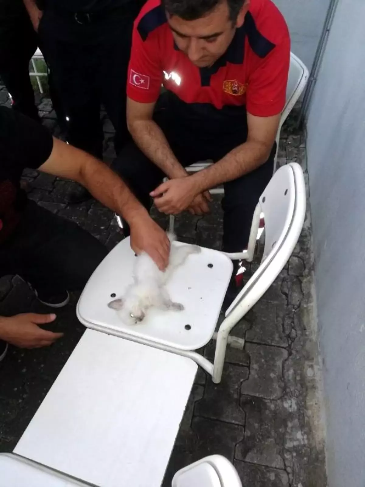 İtfaiye erinin kalbi duran kediyi kurtarma çabası kamerada