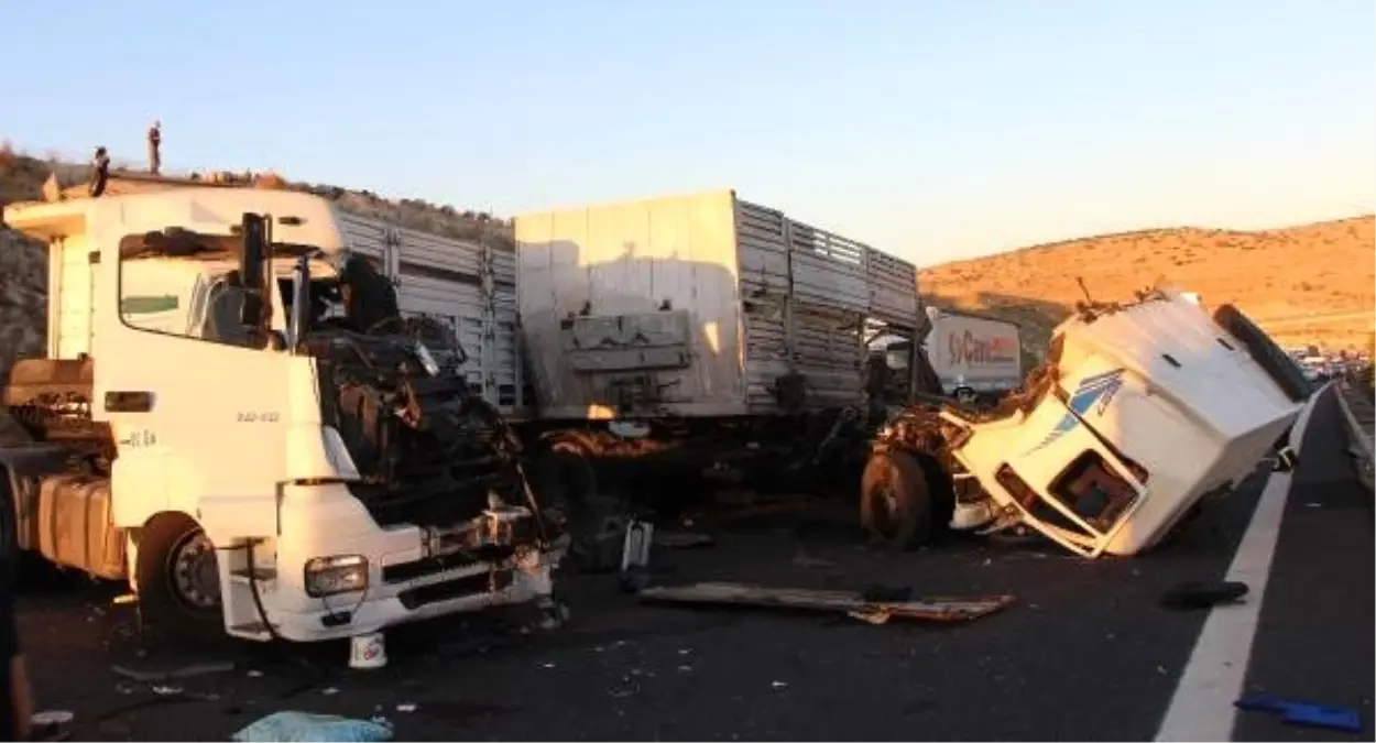 Küçükbaş yüklü TIR\'a başka bir TIR çarptı, 3 kişi yaralandı, onlarca hayvan öldü