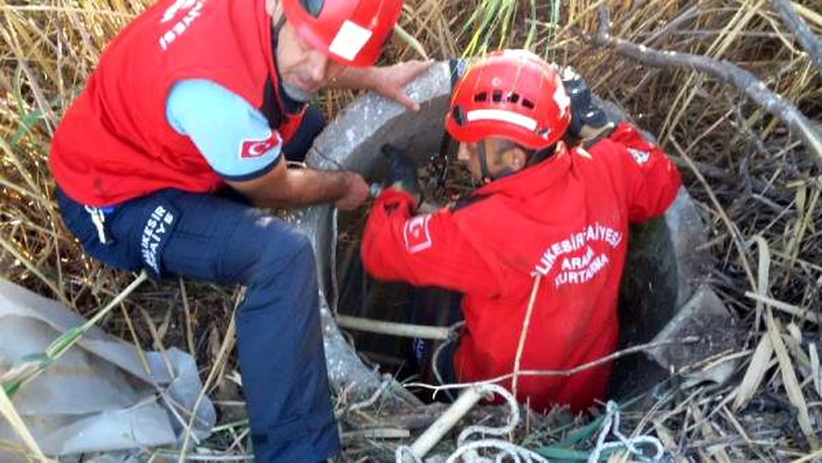 Kuyuya düşen yavru köpeği itfaiye kurtardı