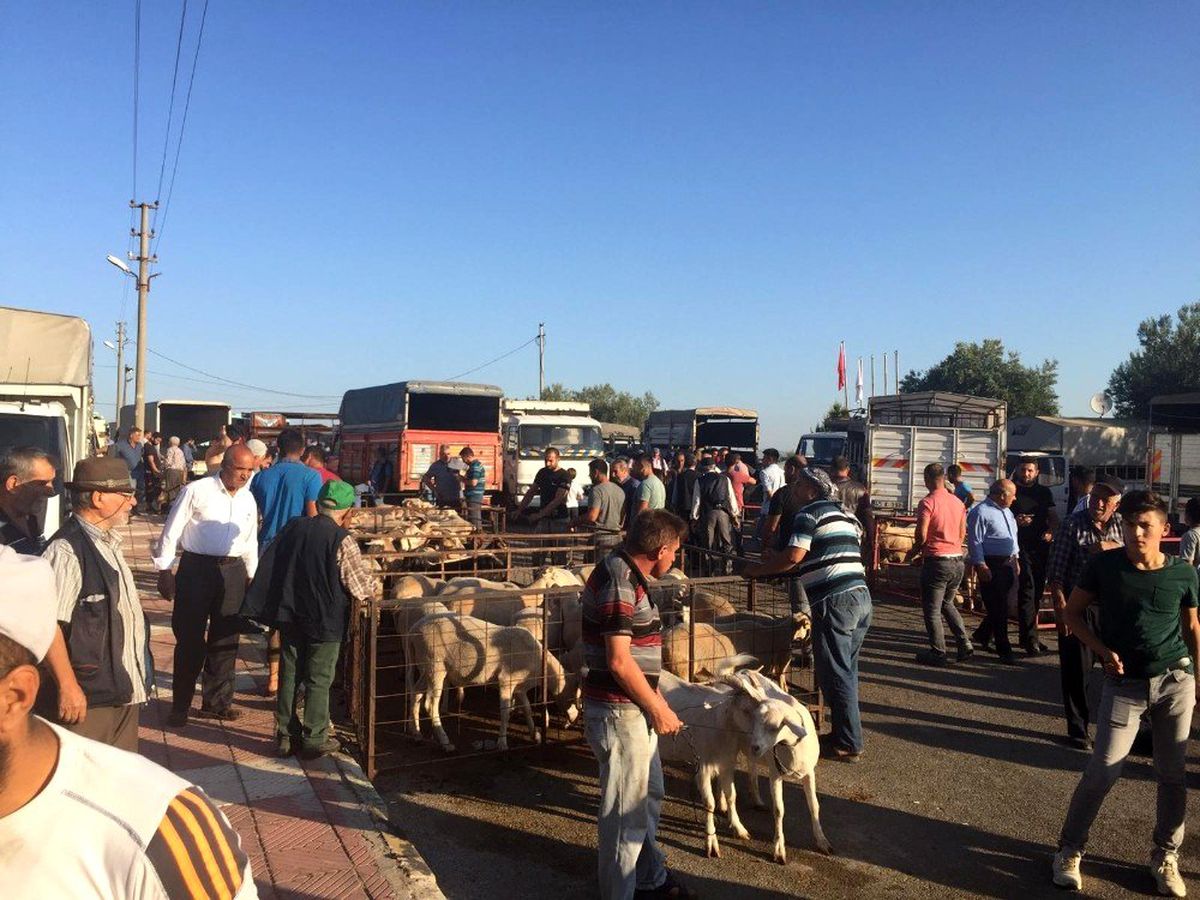 Manisa Büyükşehir zabıtasından yoğun bayram mesaisi
