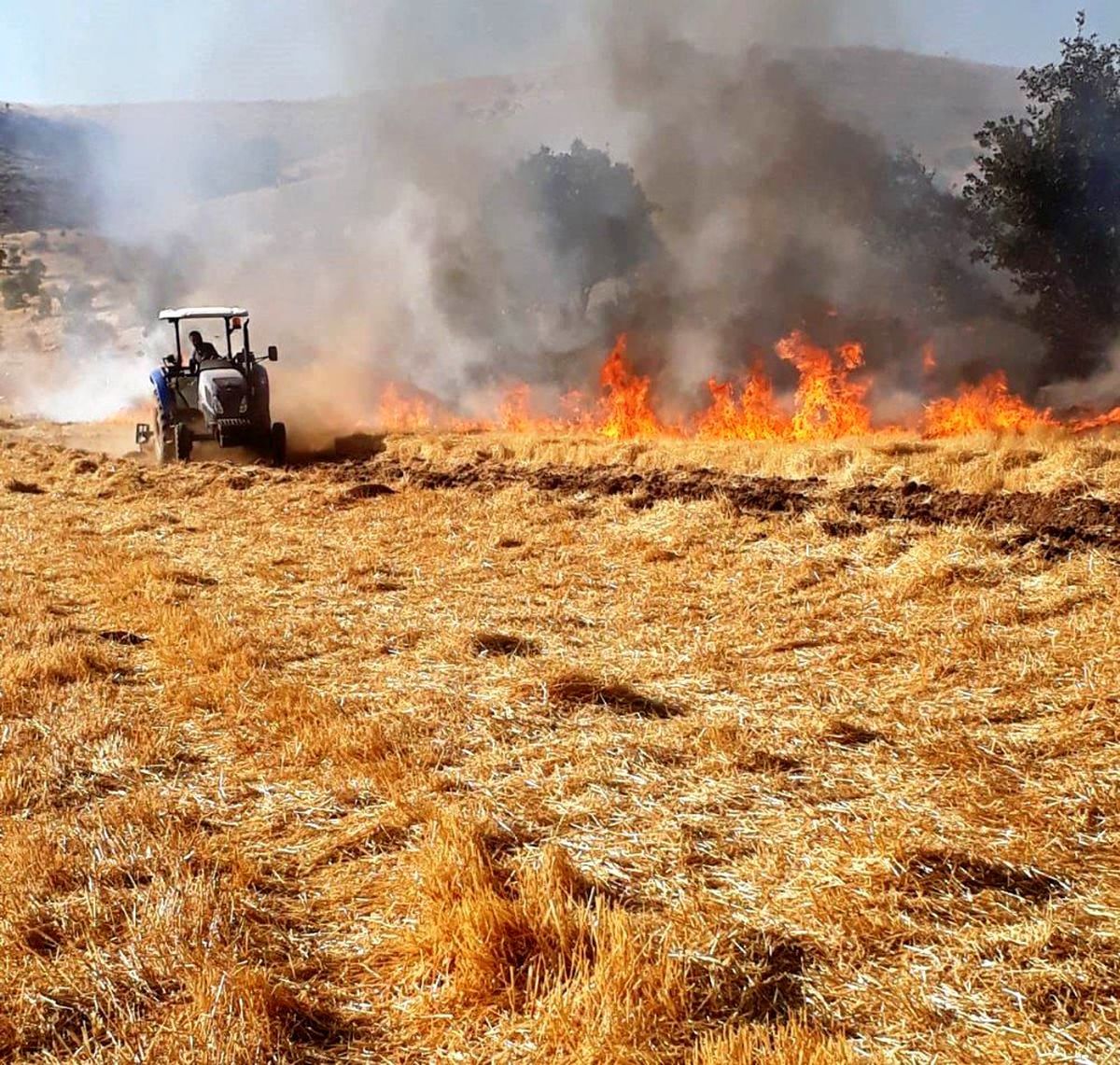 Mardin\'deki yangın itfaiye ve vatandaşın çabasıyla söndürüldü