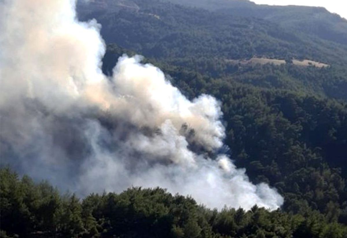 Muğla\'da orman yangını