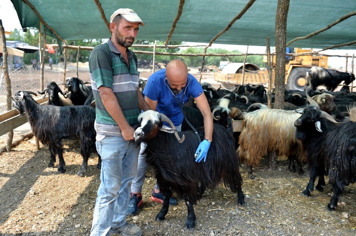 Muratpaşa\'da bayran hazırlıkları tamamlandı