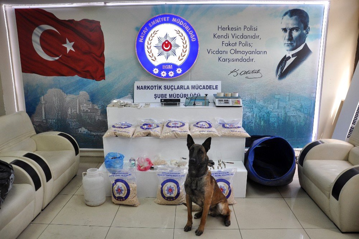 Toprağa gömülü uyuşturucuyu "Rüzgar" buldu