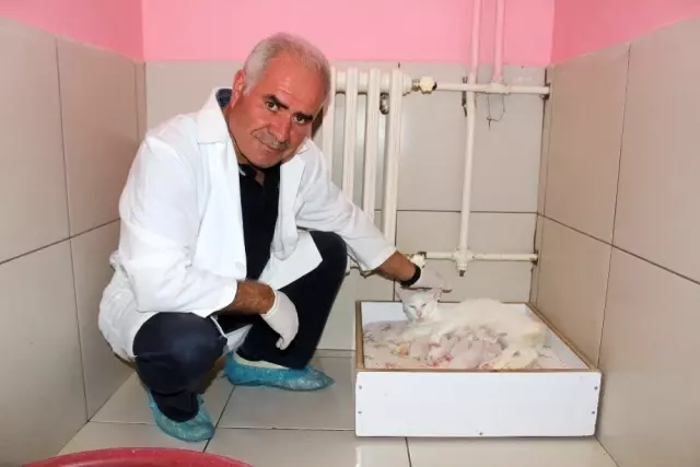 son dakika