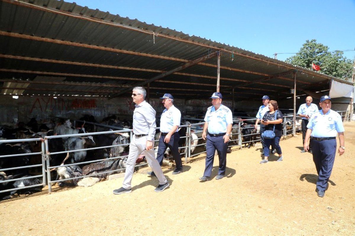 Zabıtadan kurban denetimi