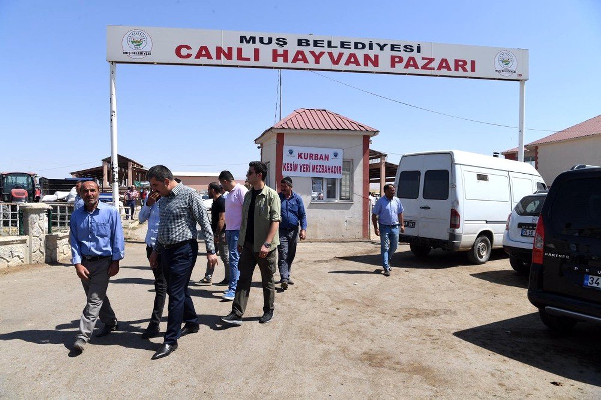 Başkan Asya, hayvan pazarını ziyaret etti