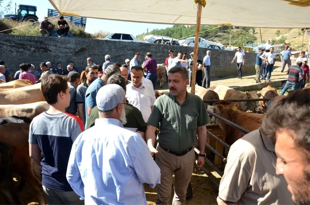 Başkan Çakıcı, hayvan pazarını gezdi