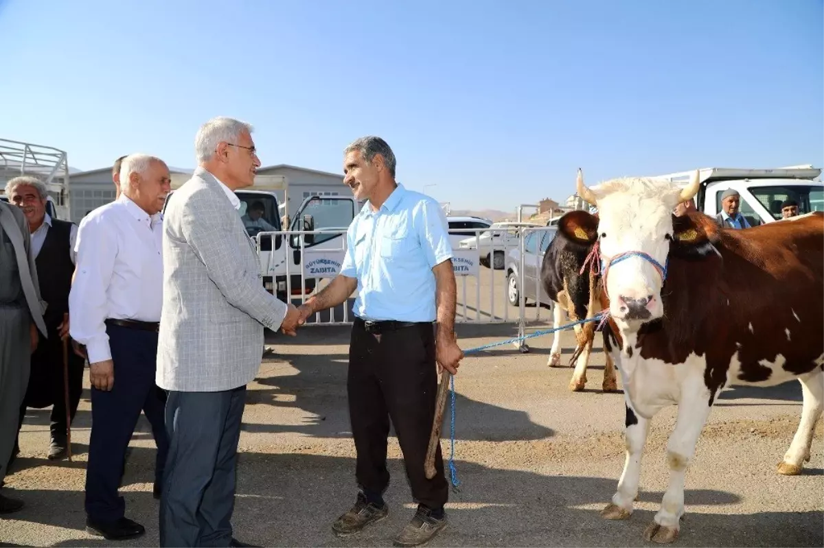 Başkan Güder hayvan pazarını ziyaret etti