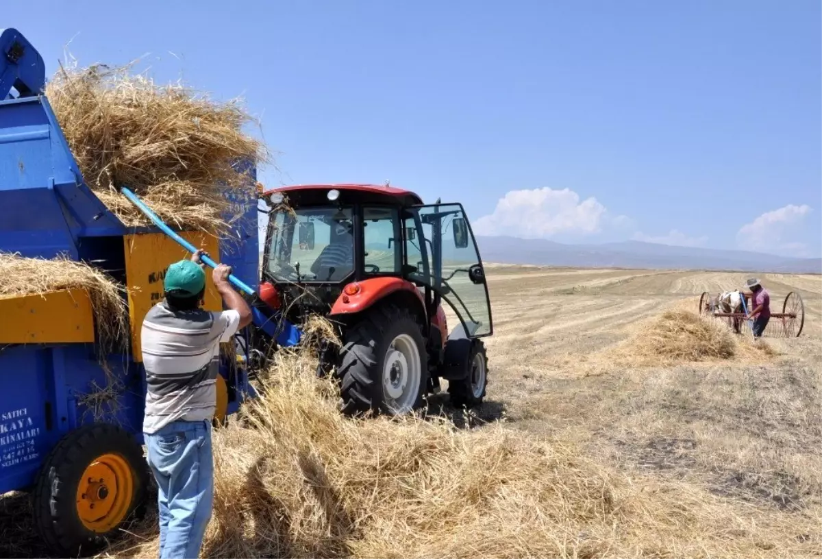 Bayburt\'ta köylüler, güneş altında patos vuruyor