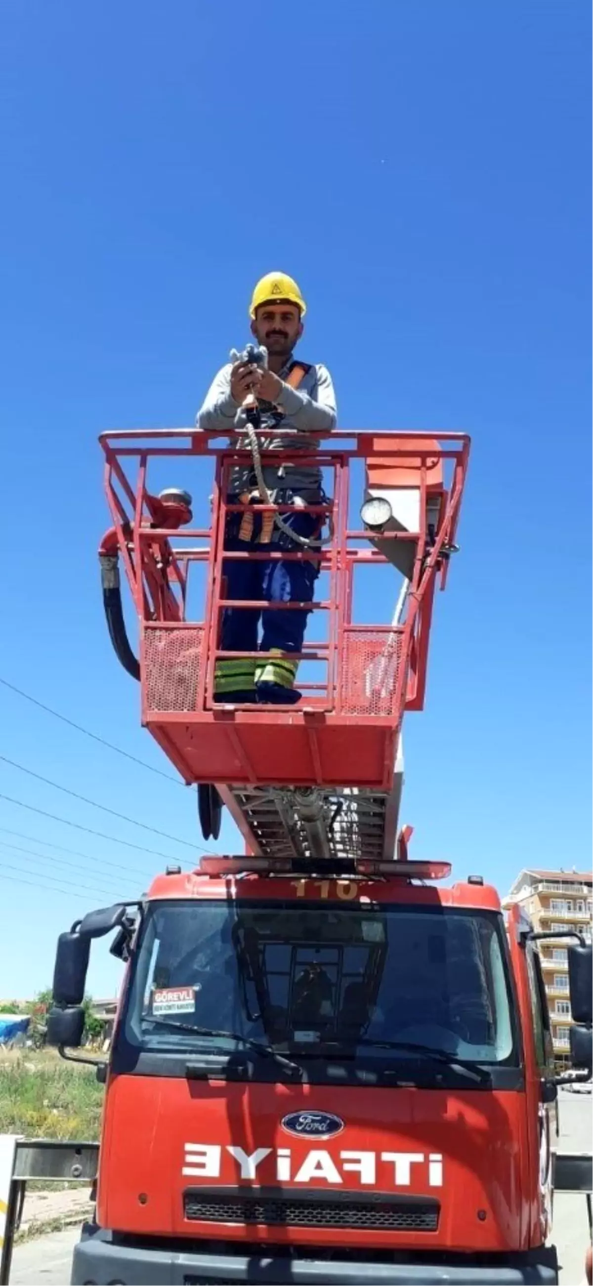 ÇEDAŞ ekipleri, enerji hattına takılan güvercini kurtardı