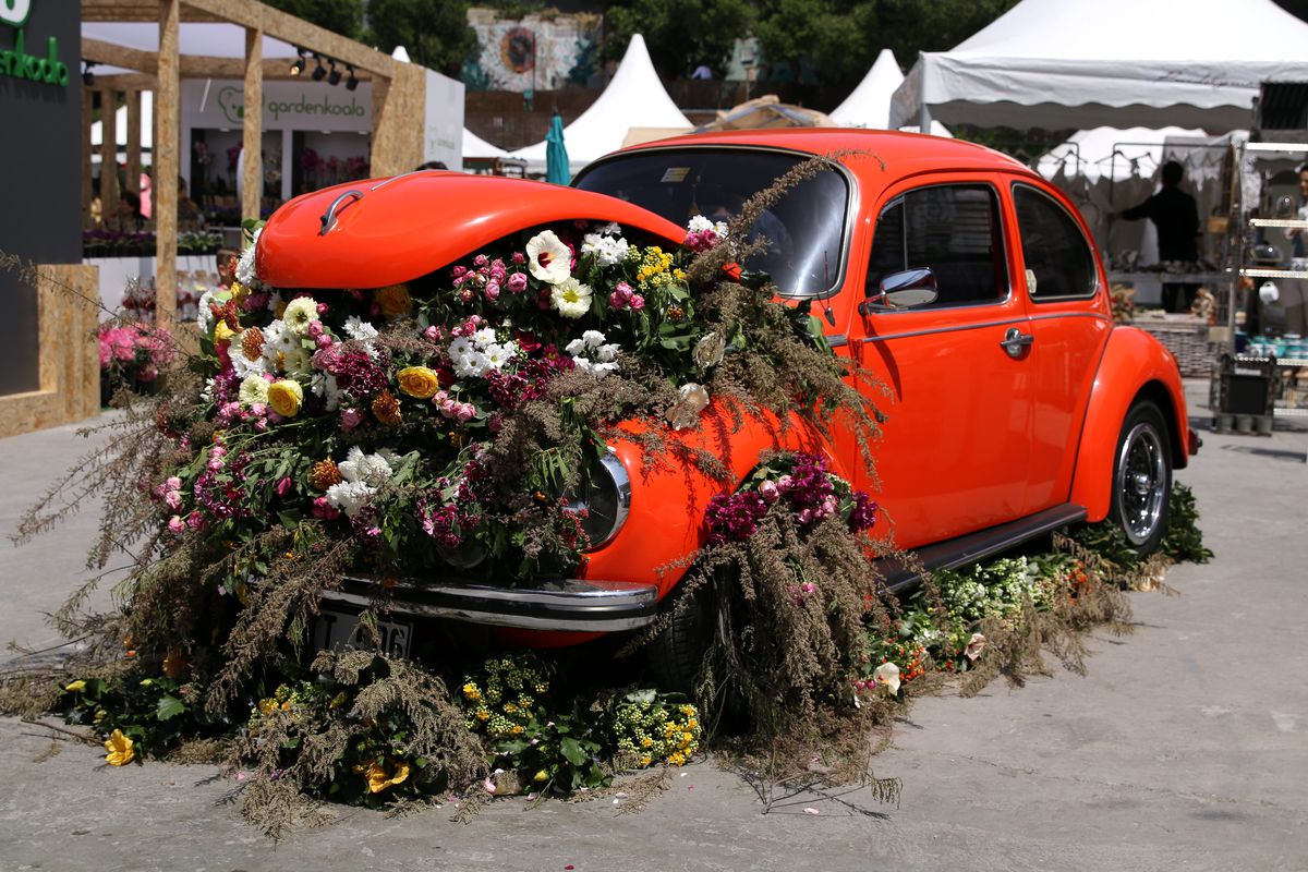 Çiçek hakkında her şey bu festivalde