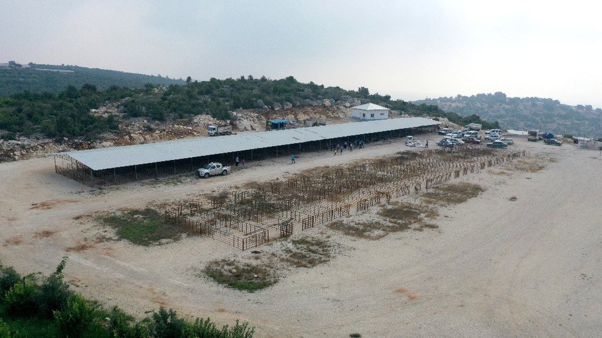 Erdemli\'de kurban pazarları bayrama hazır