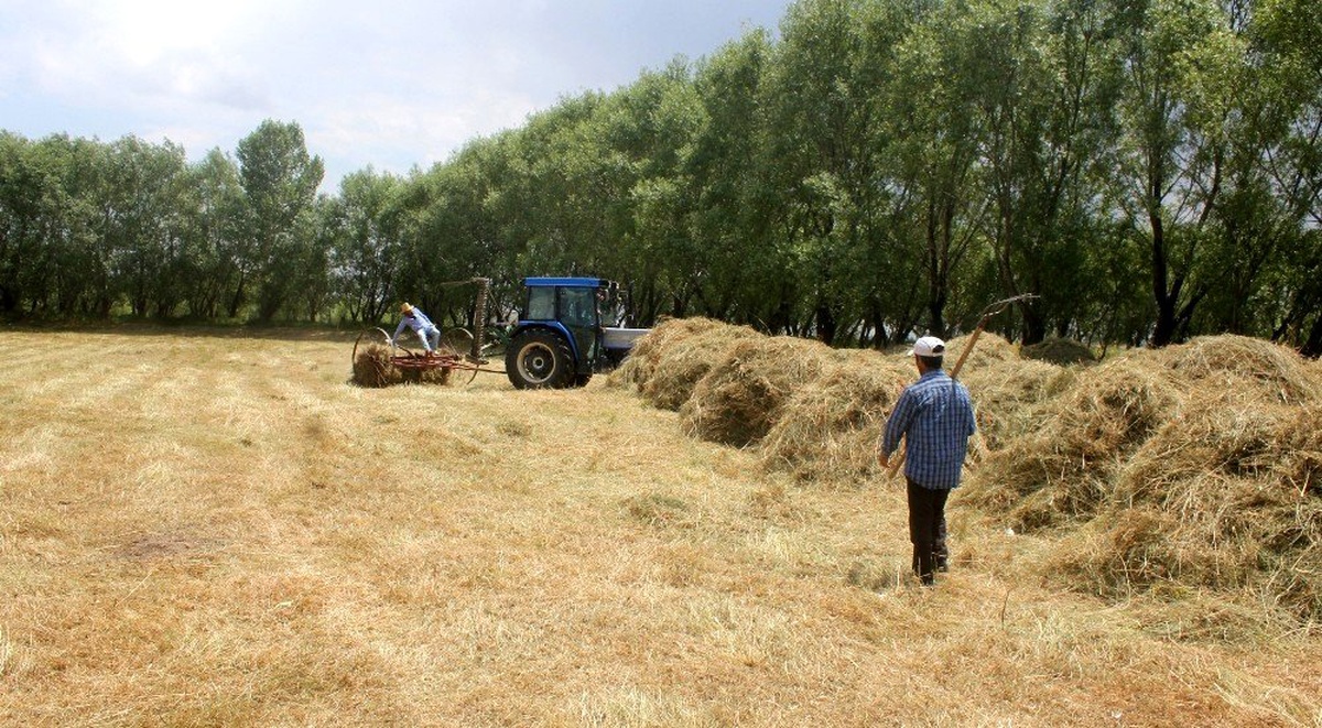 Erzincan\'da vatandaşların kış hazırlığı