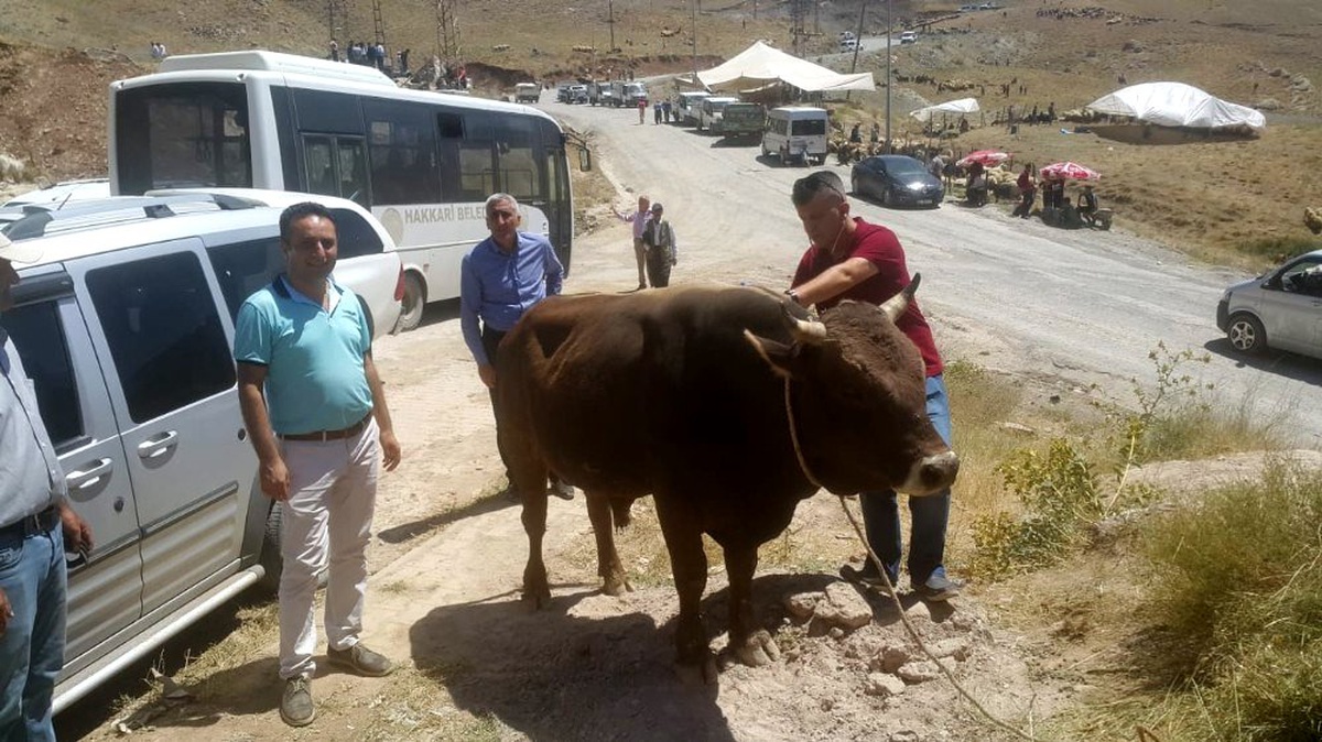Hakkari\'de kurbanlıklar sağlık taramasından geçirildi
