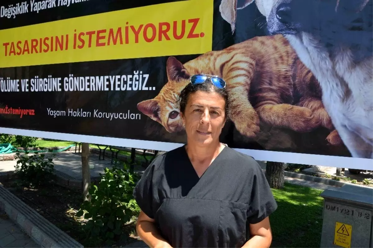 HAYDOS Başkanı Dağdelen uyardı; "600\'e yakın köpek sokakta kalır"