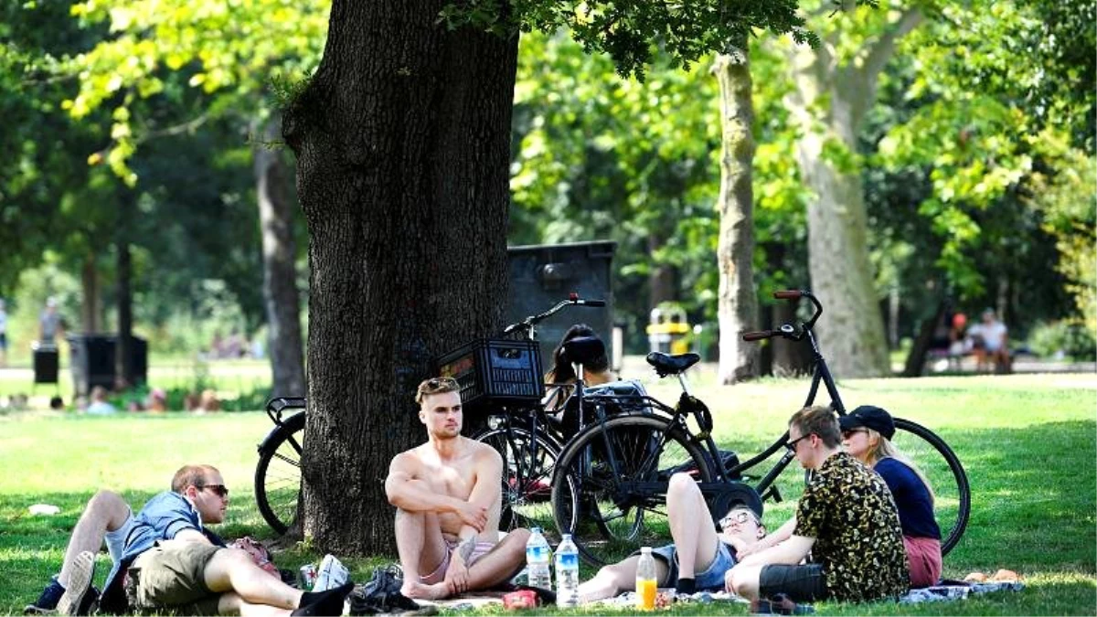 Hollanda\'da aşırı sıcaklar sebebiyle hayatını kaybedenlerin sayısı ortalamayı 400 kişi aştı