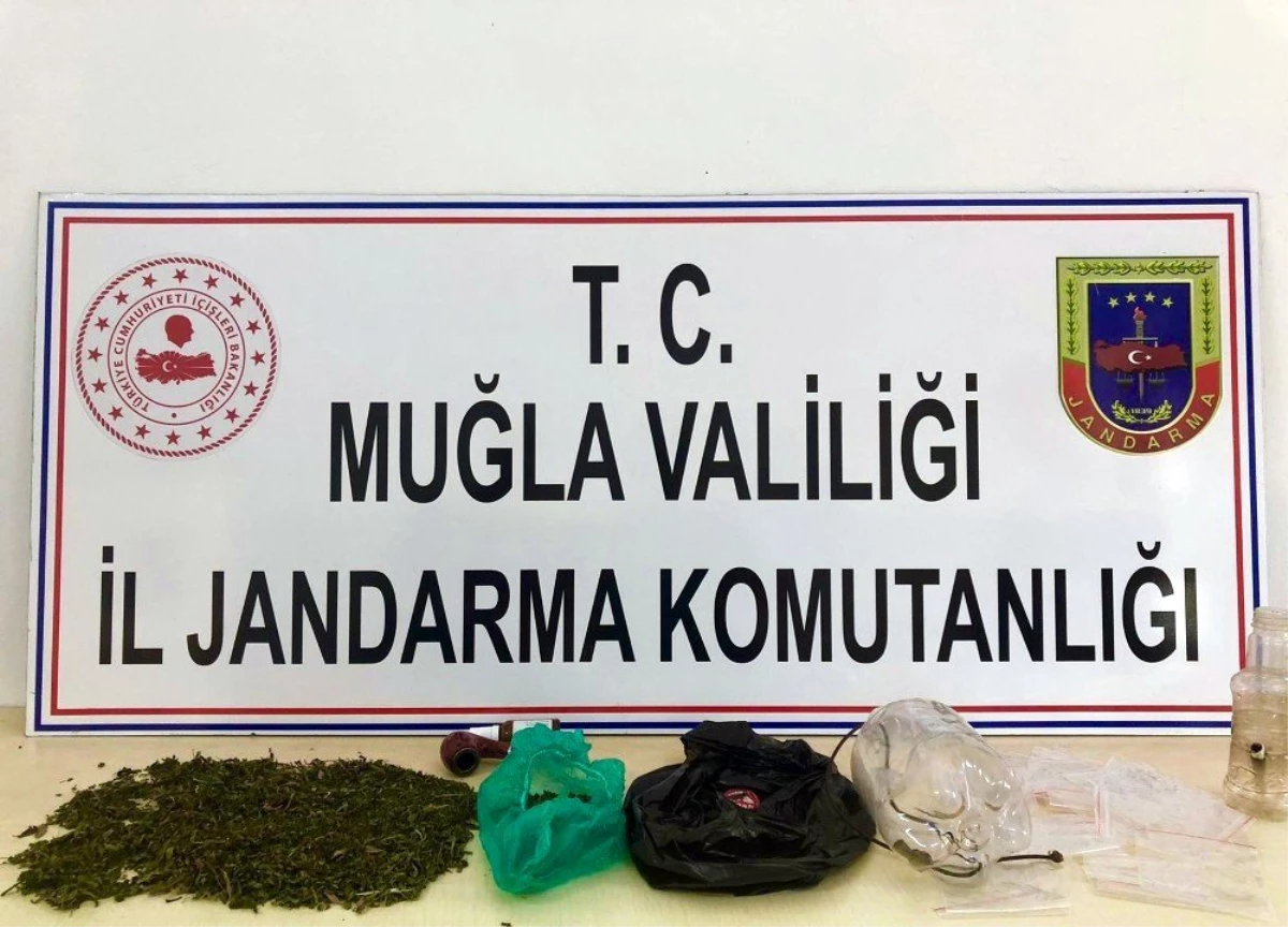 Jandarmadan uyuşturucu partisine baskın