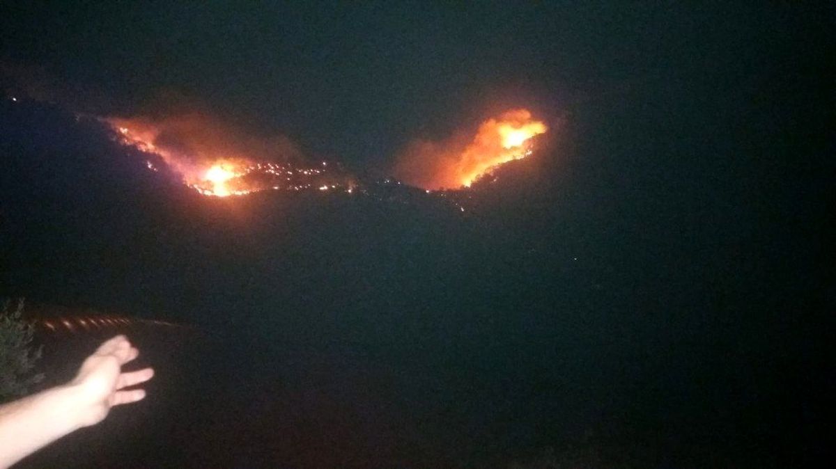 Mersin\'de iki günde çıkan 8 orman yangınında yaklaşık 40 hektar alan zarar gördü