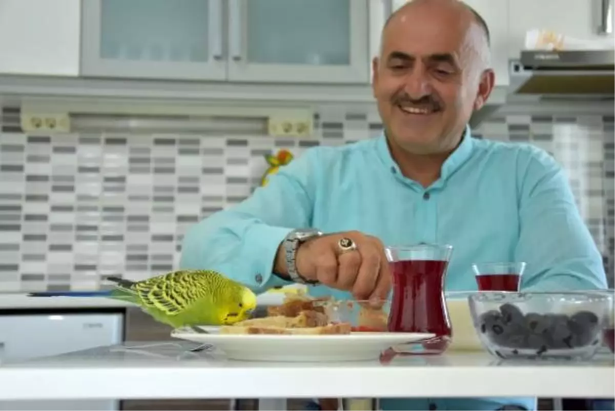 Öğretmen muhabbet kuşuna yüzlerce kelime öğretti