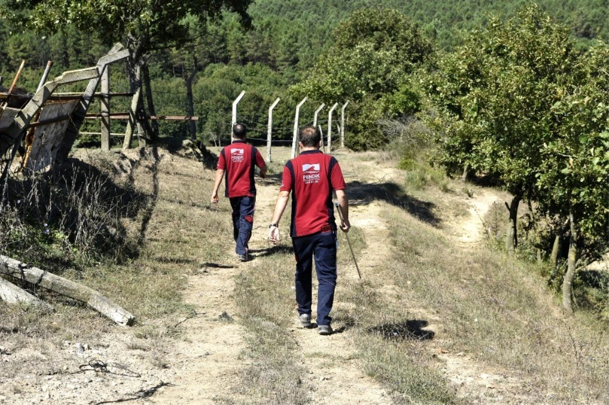 Pendik\'te kaçan kurbanlıklara üfleme çubuklu ekip