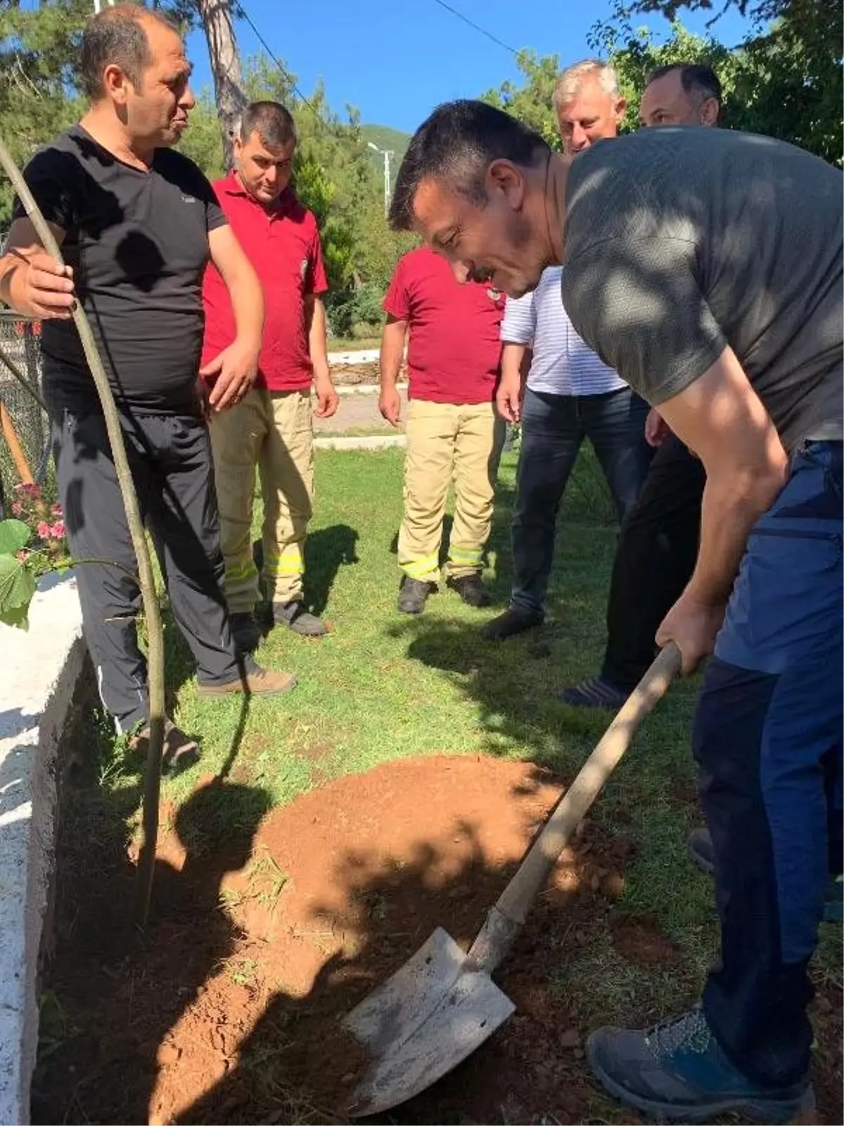 AK Partili Dağ, ıhlamur ağacı dikti