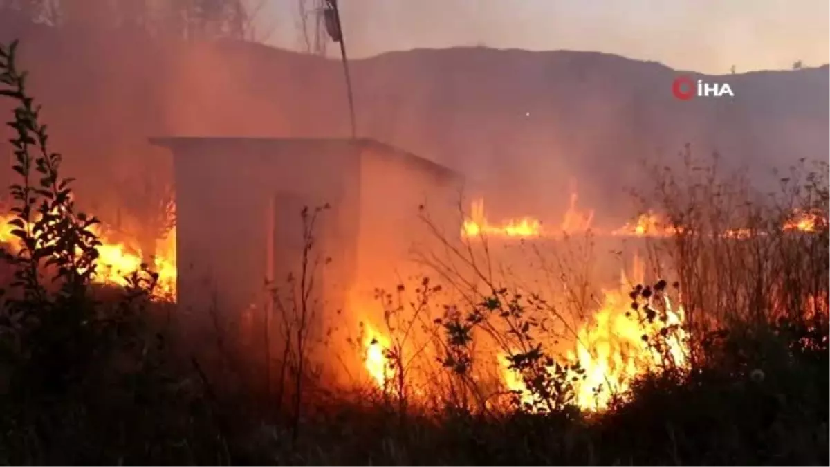 Anız yangınının bahçelerine sıçramaması için kova ve hortumla müdahale ettiler