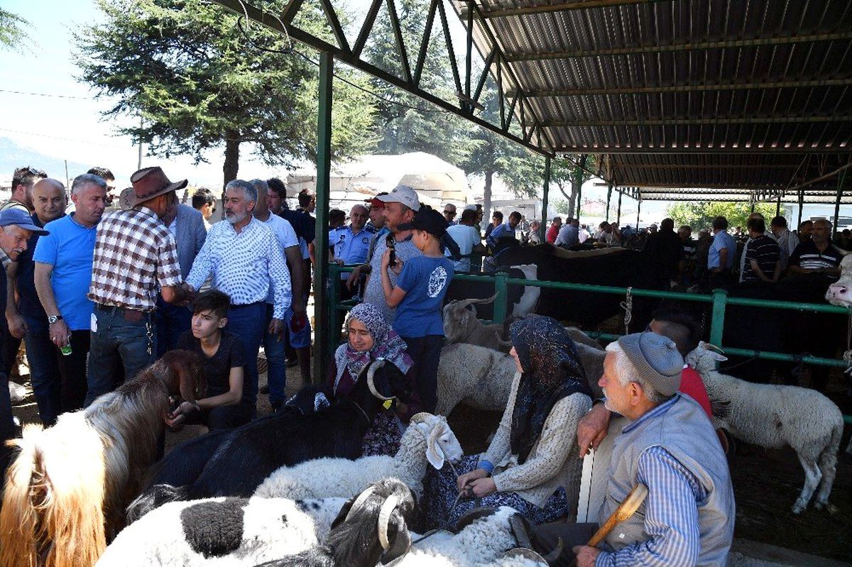Başkan Başdeğirmen, Hayvan Pazarında incelemelerde bulundu