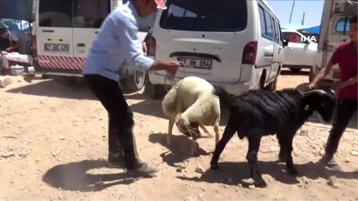 Gaziantep\'te kurban pazarlarında yoğunluk yaşanıyor