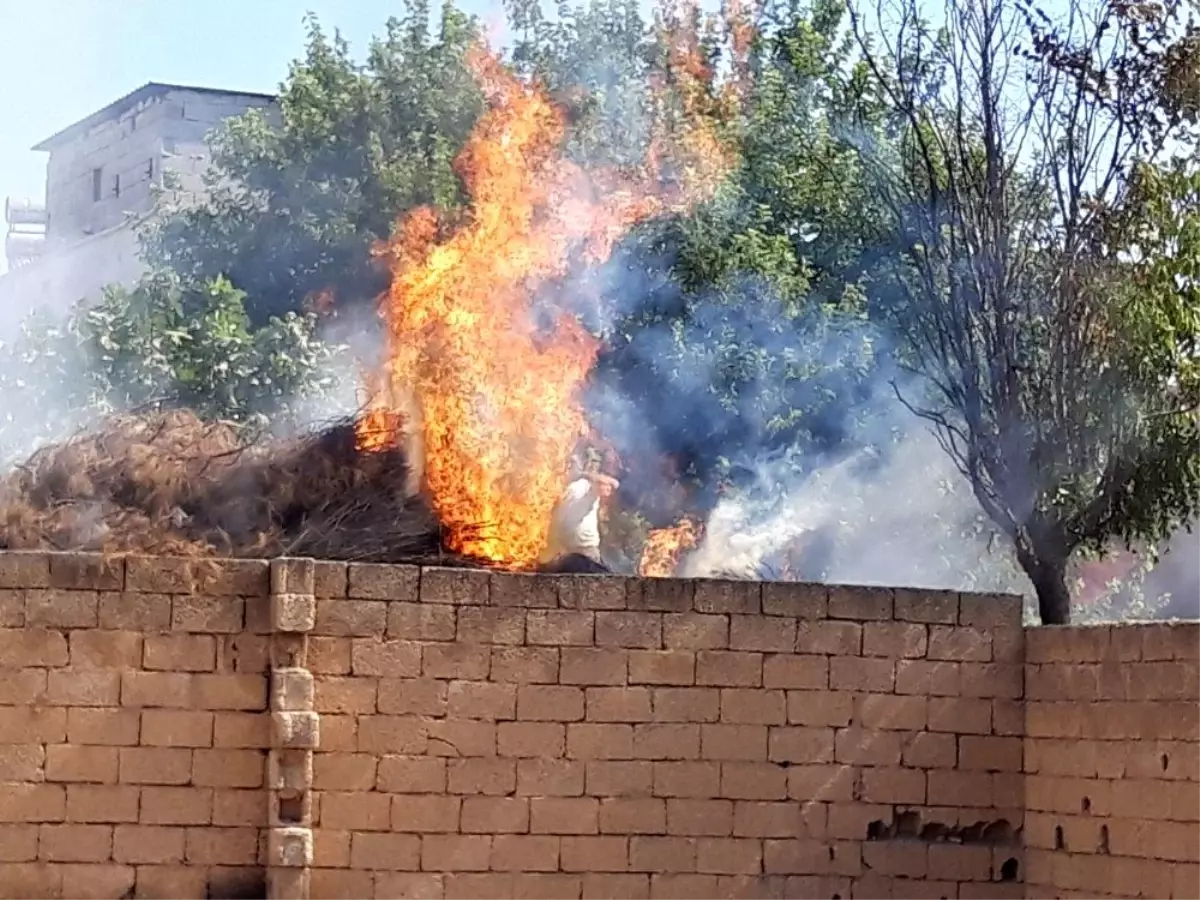 Akçakale\'de odunlukta çıkan yangın korkuttu