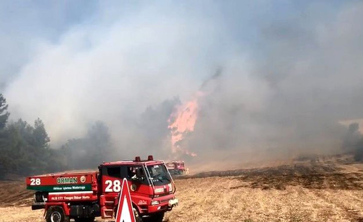 Balıkesir\'de çıkan orman yangını söndürüldü